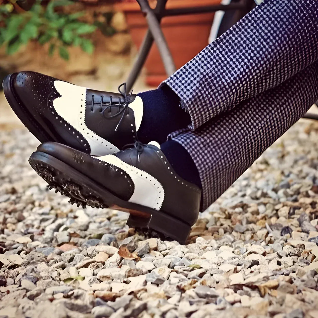 Jim Full Brogue Golf Shoes II two-tone box calf rounded toe back view